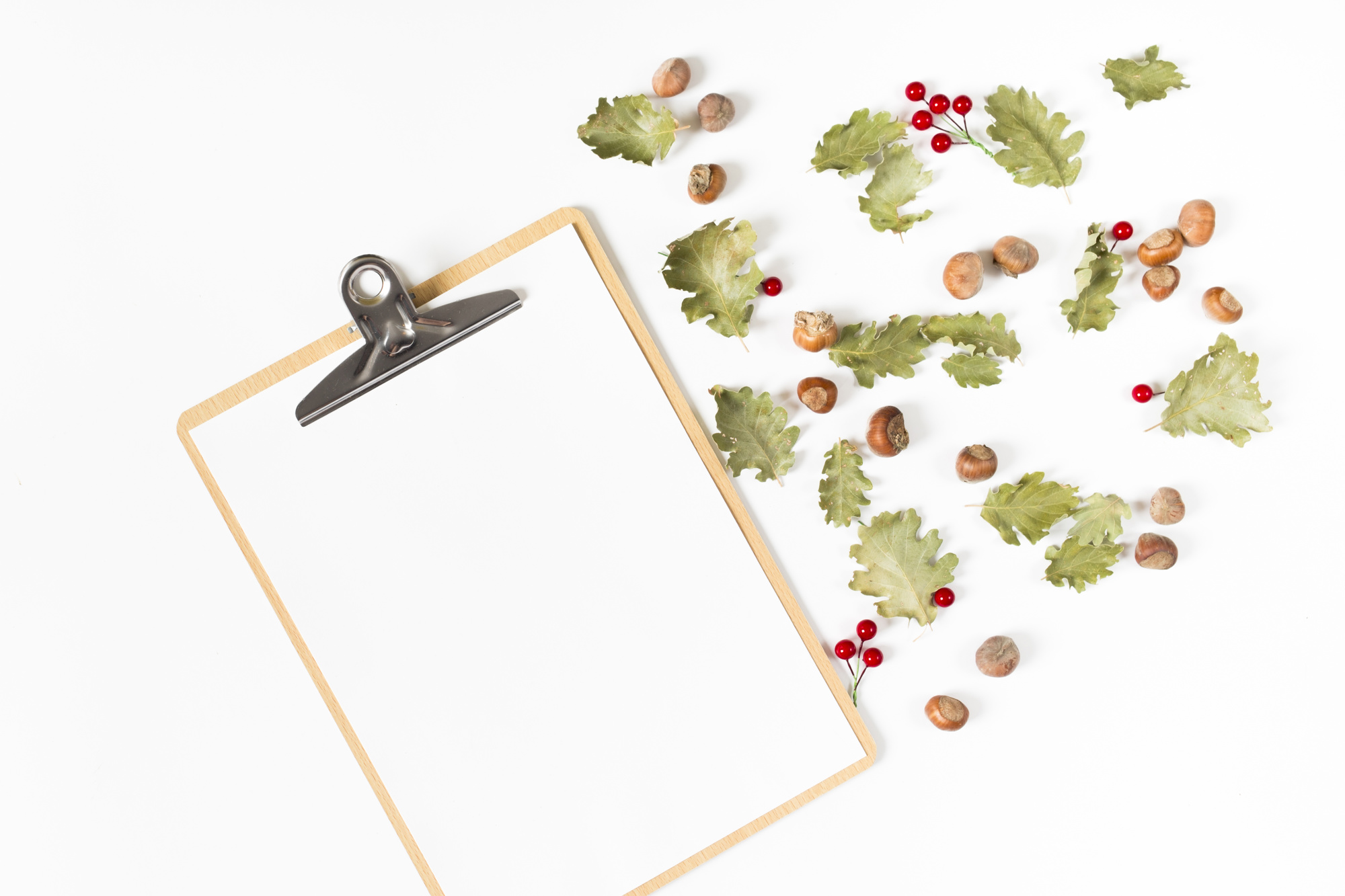Curated seasonal menu notes